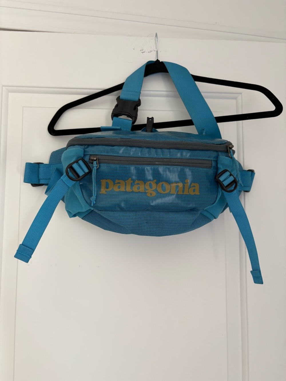 Patagonia Blue Waist Pack with Gold Logo
